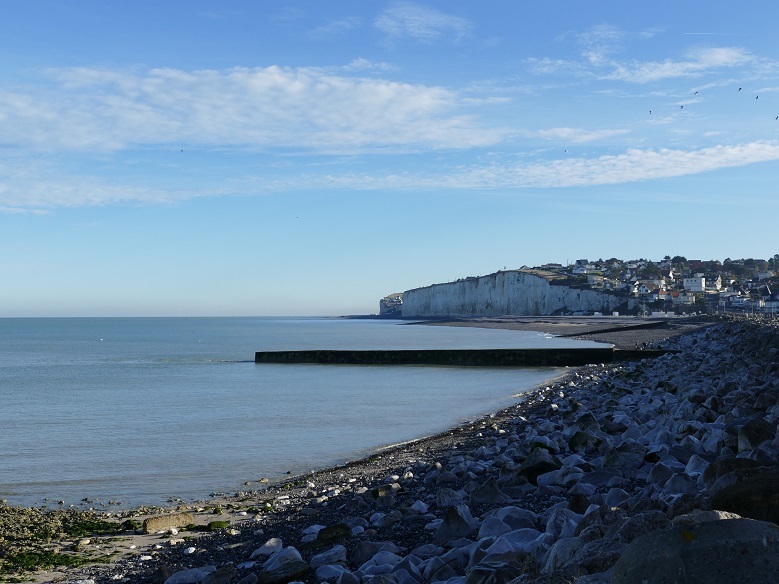 P1090605&.jpg
