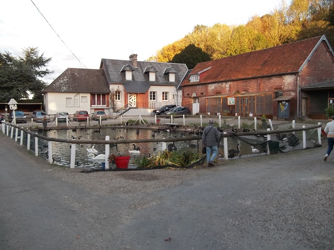 Visite de le ferme de Beaumont , élevage d'oiseaux et gallinacés