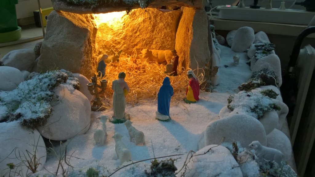 WP_20170101_11_48_46_Pro (Copier).jpg