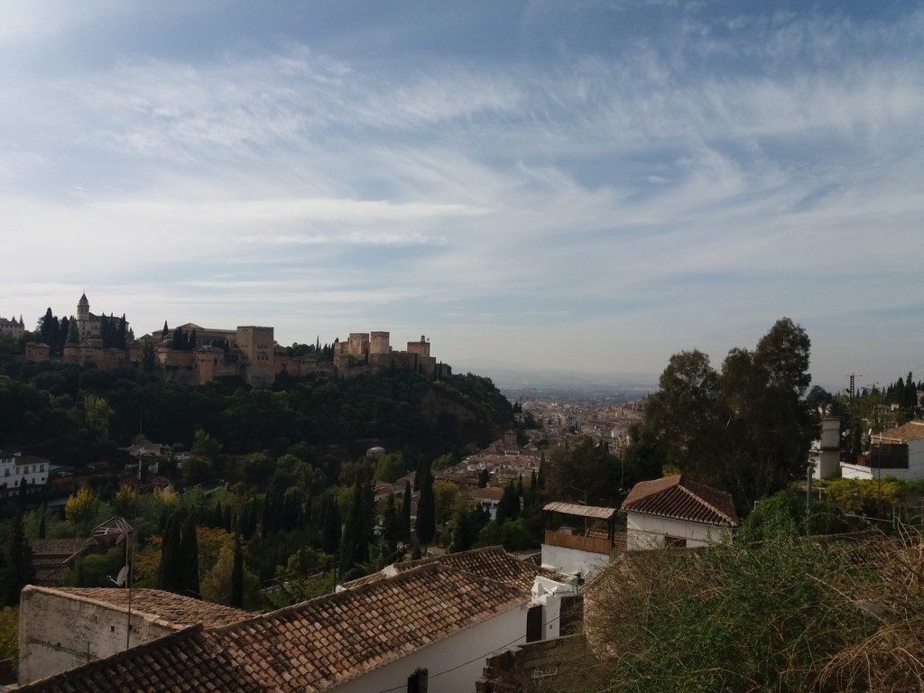 20161101_123035 (Copiar).jpg