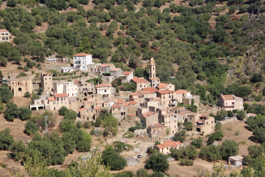 IMG_3447 (Copier).JPG