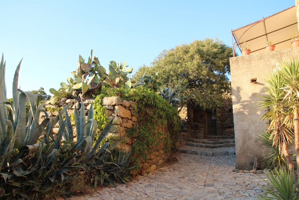 IMG_3676 (Copier).JPG