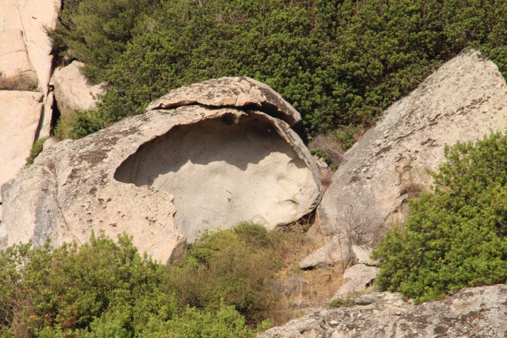 corse2016balagne 012 (Copier).JPG