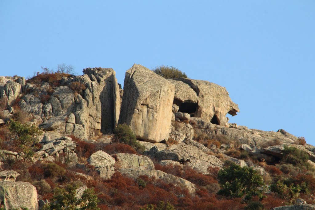 corse2016balagne 033 (Copier).JPG