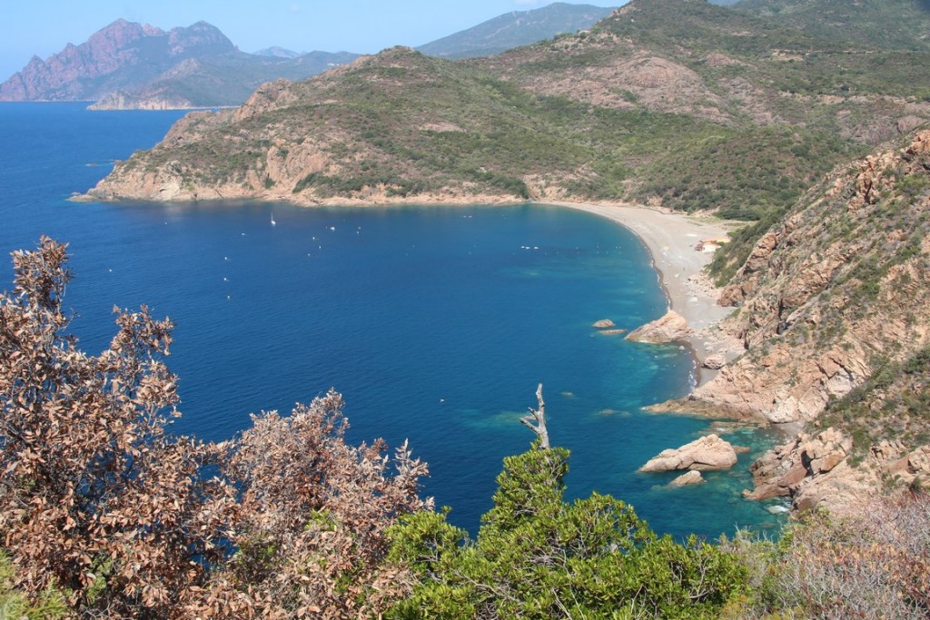corse2016balagne 113 (Copier).JPG