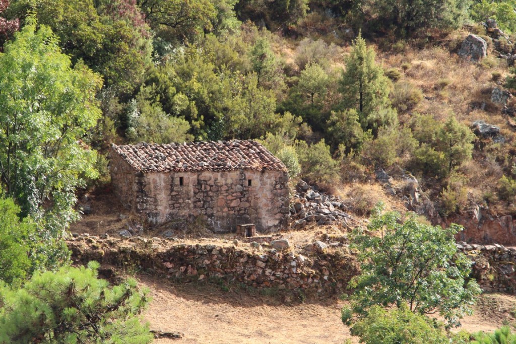 corse2016balagne 190 (Copier).JPG
