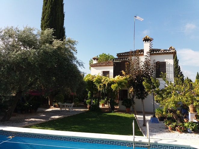 Patio-jardin