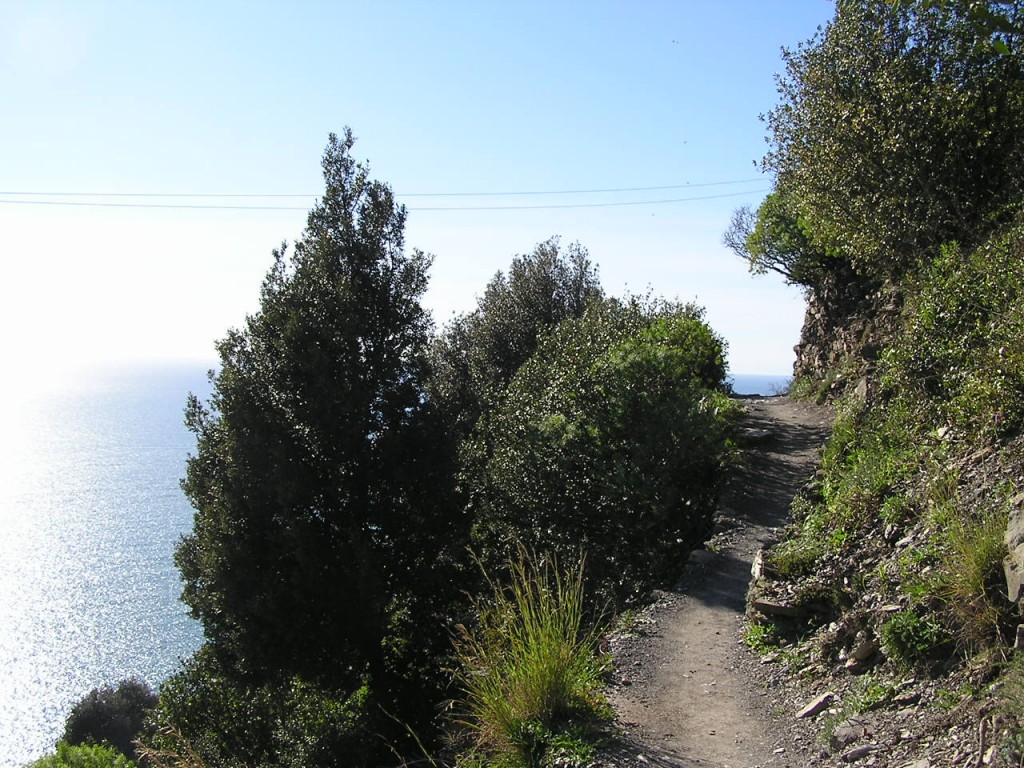 cinque terre 02 2007 062.jpg