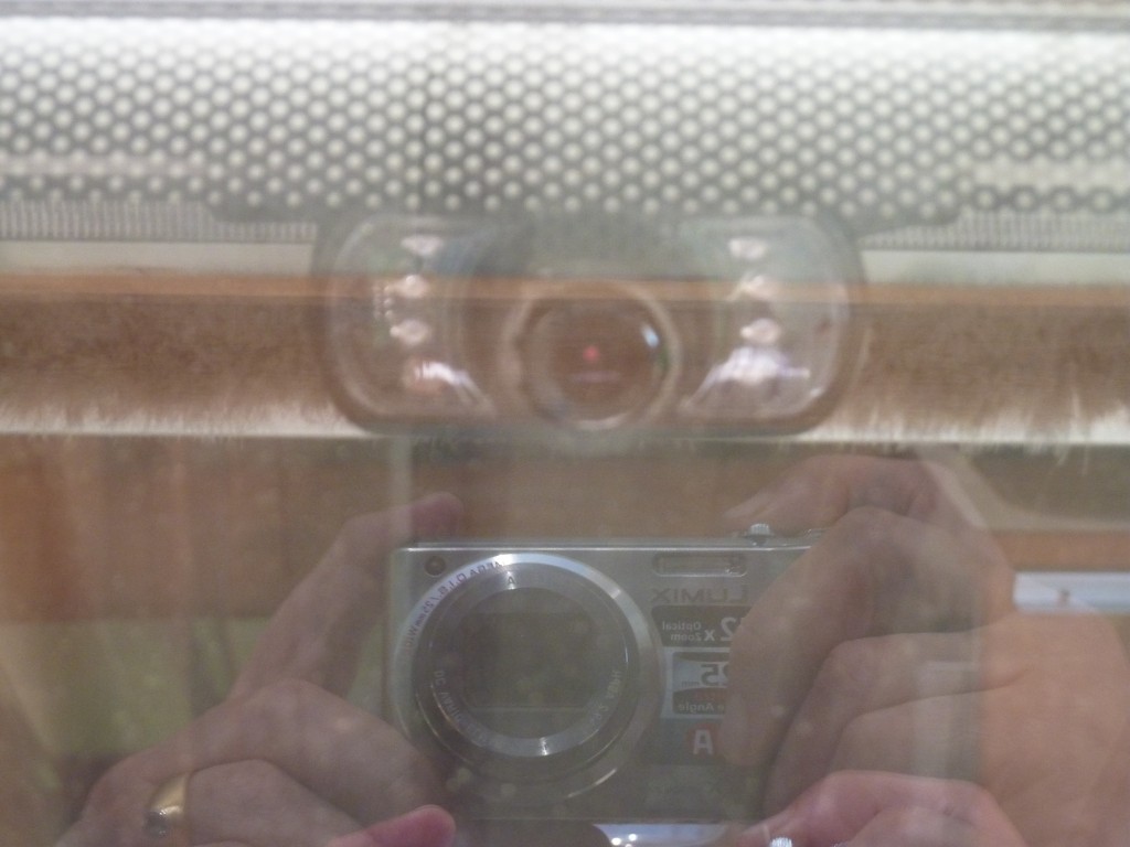P1020590.JPG