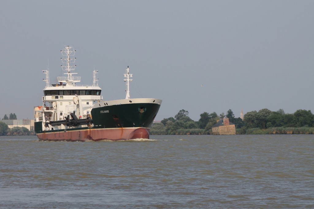 DPP_0036.JPG