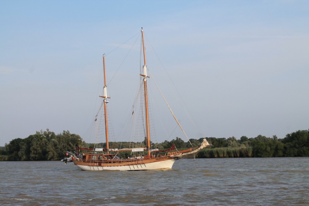 DPP_0044.JPG