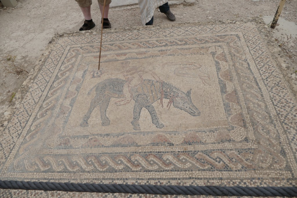 mosaic volubilis.JPG