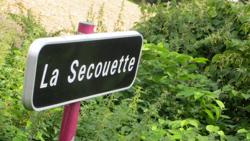 La secouetteRED.jpg