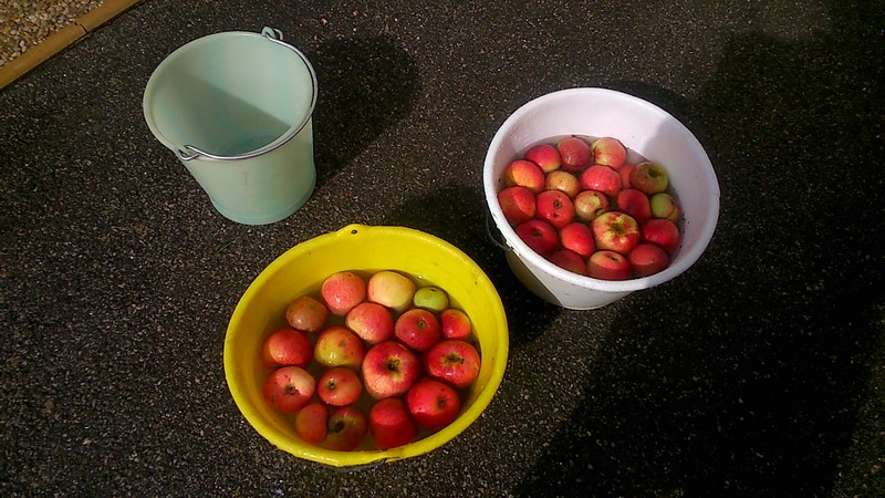 Il faut des pommes en bonne santé ! pas de pourries !<br />Si tu veux du bon résultat, faut mettre du bon produit !