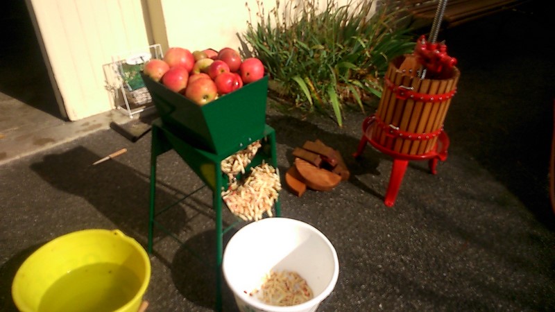 Rapper les pommes pour en faire une sorte de frite.