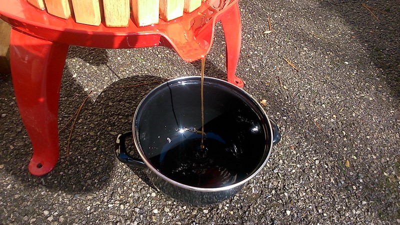 Pas encore pressées que le jus coule déjà !