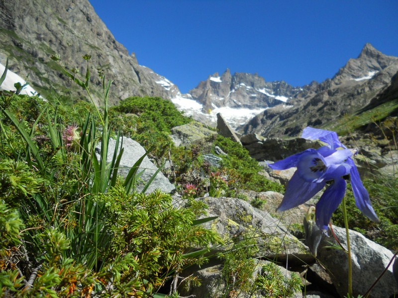 La Bérarde3.JPG