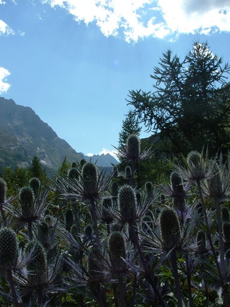 Vallouise2.JPG