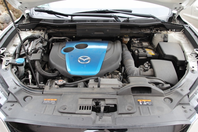 278 (640x427).jpg