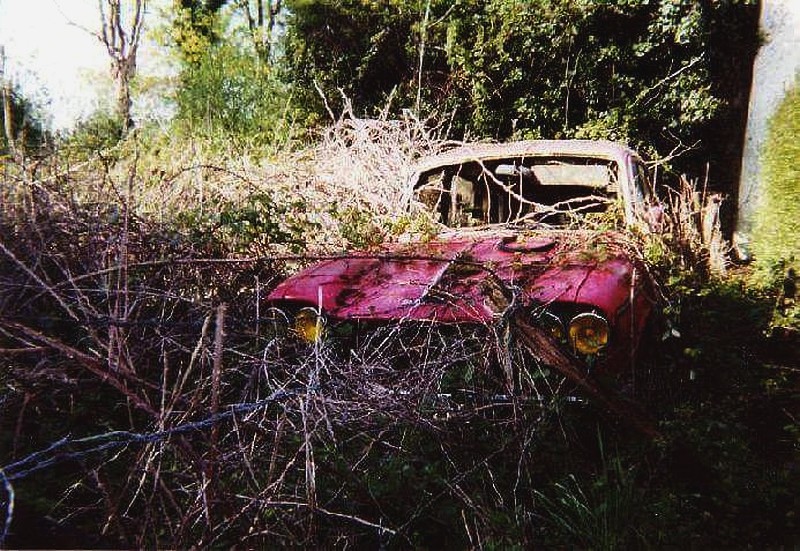 5 .jpg