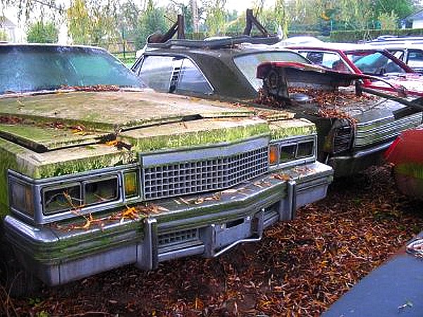 23 .jpg