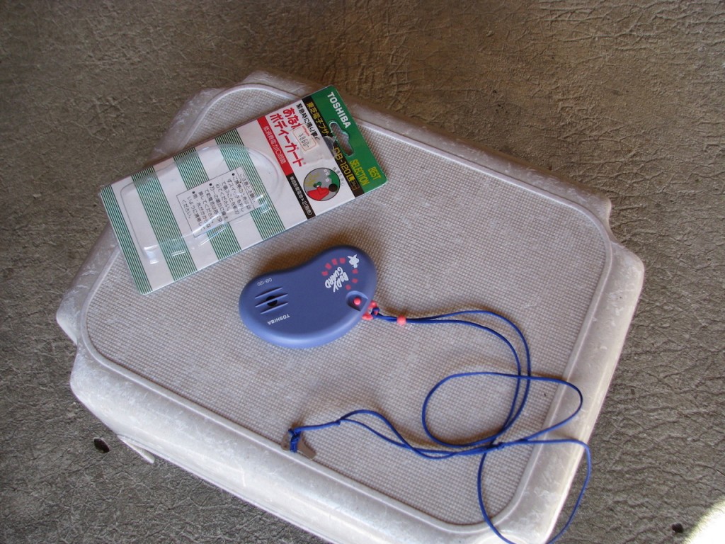 ALARME SAC A MAIN.jpg