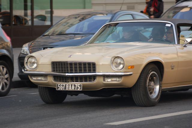 DSC_8424 (Small).JPG