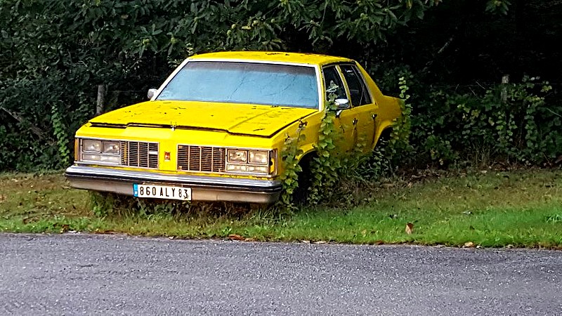208 .jpg