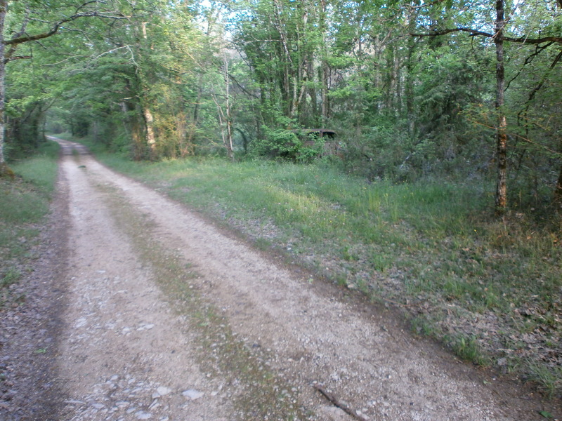 P5050038.jpg