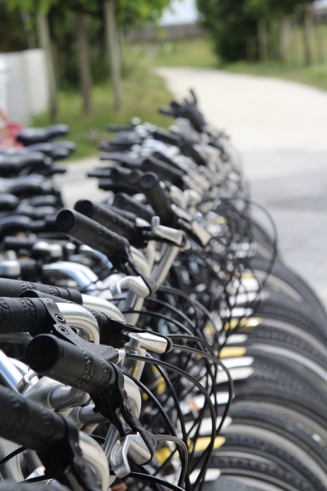 Le choix des vélos.