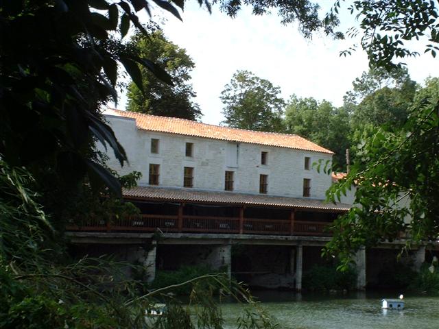 DSCF0023 (Small).JPG