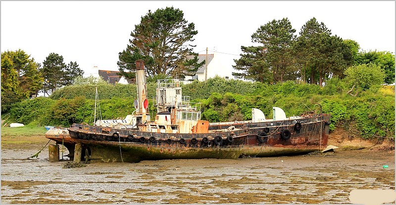 487 .jpg