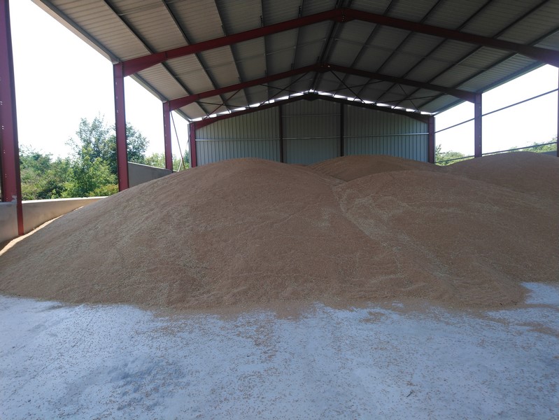 La livraison du grain se fera par camions, dans quelques jours !