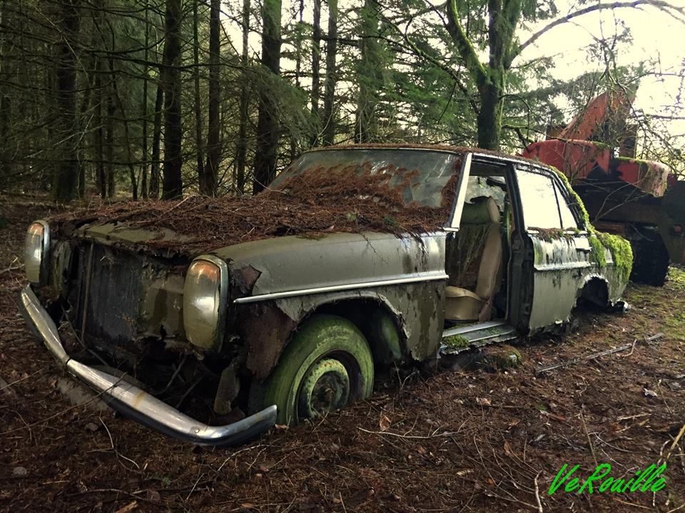 Mercedes2.jpg