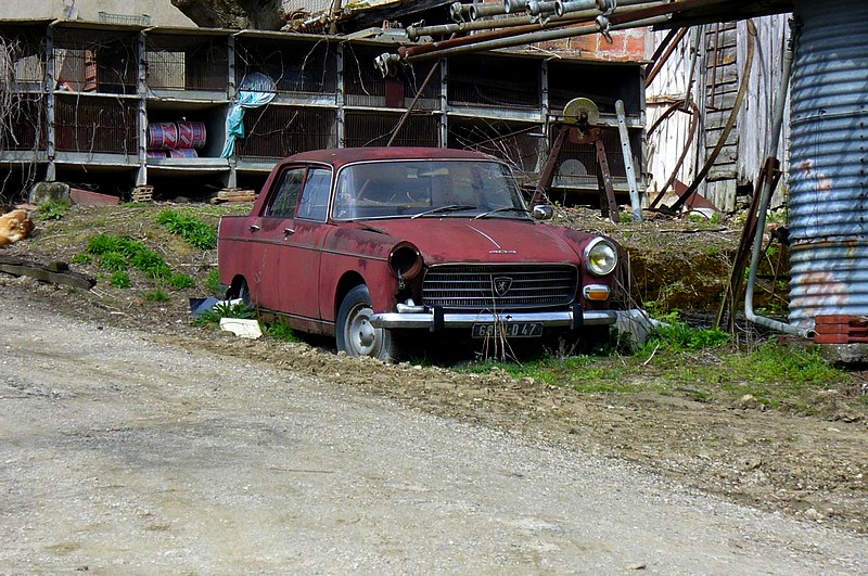 549 .jpg