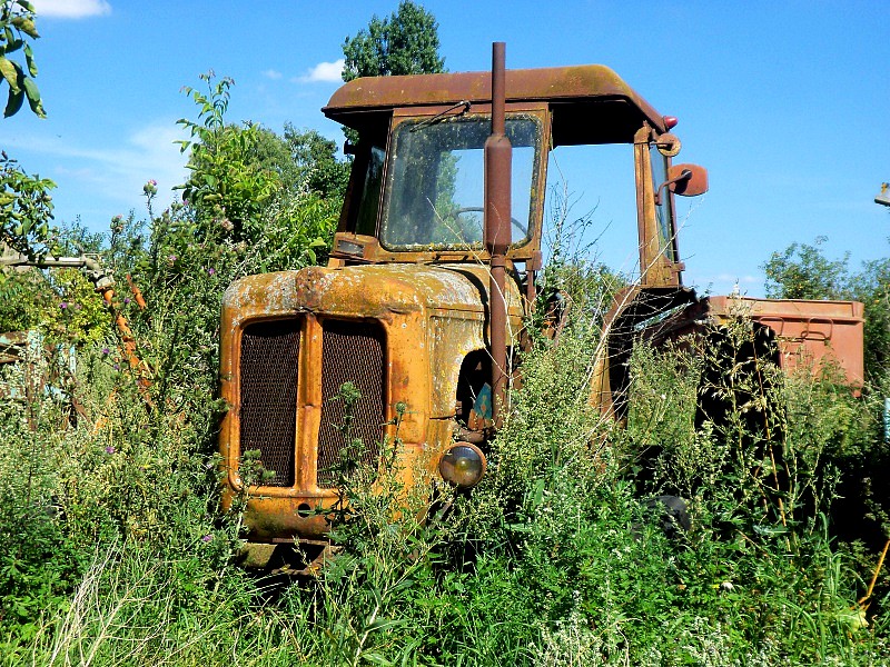 552 .jpg