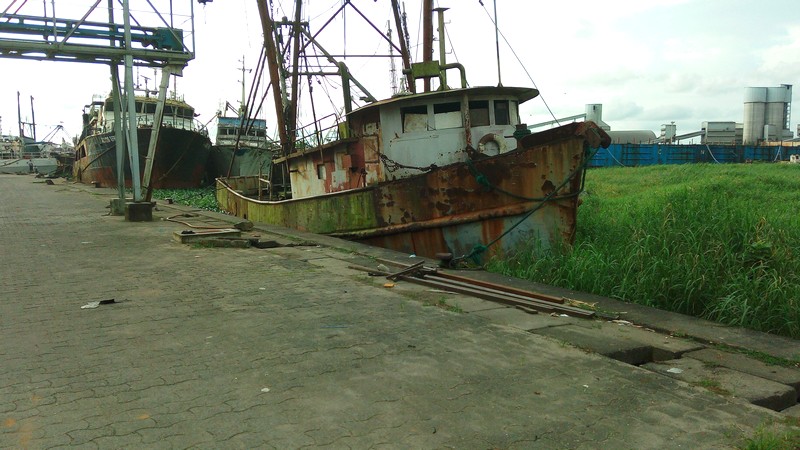 567 .jpg