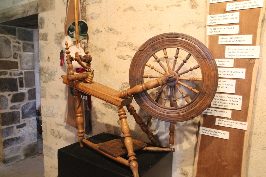 IMG_5737.JPG