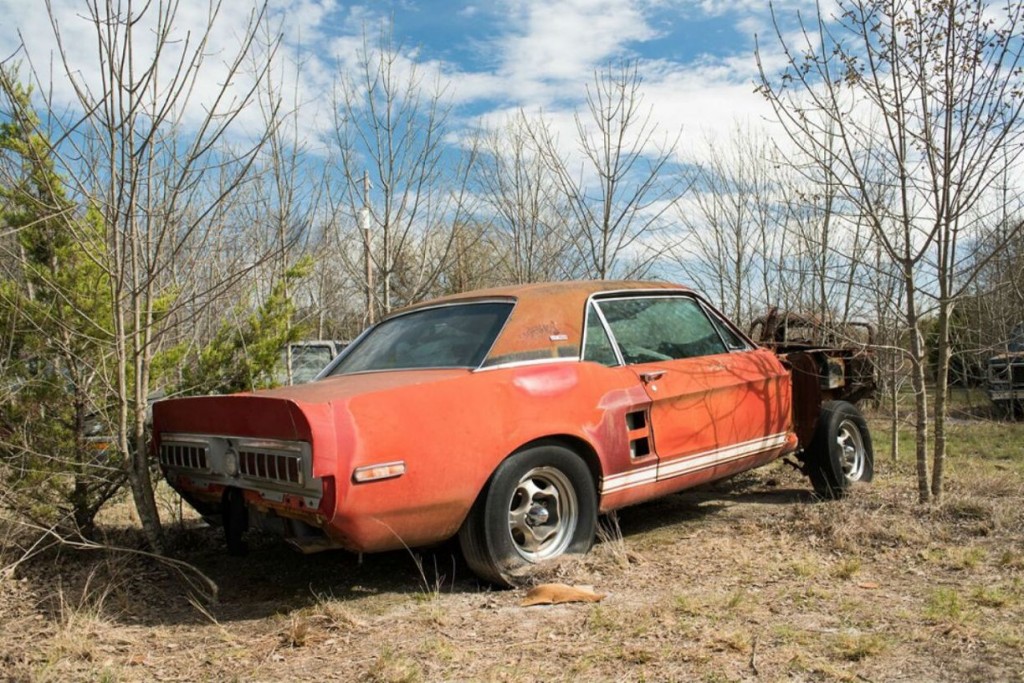 ford-shelby-gt500-exp-1.jpg