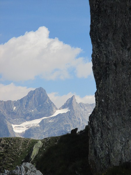 11 près refuge la Valette.JPG