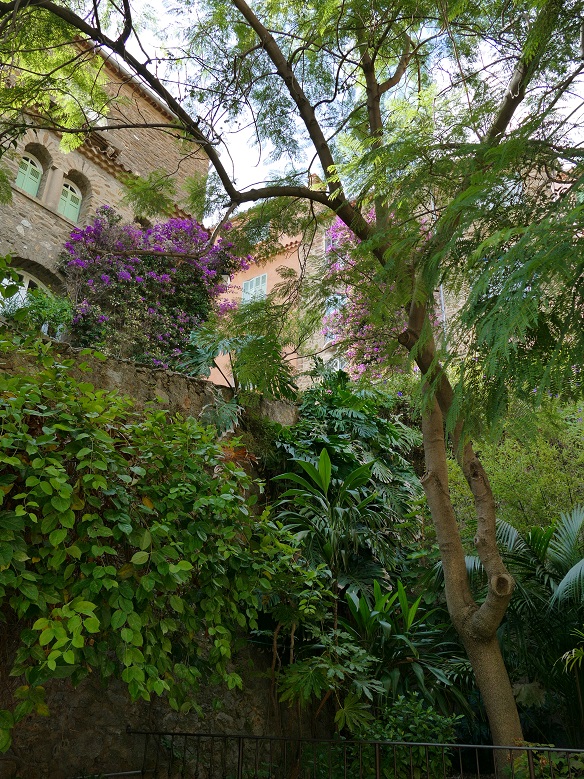 P1150655&.jpg