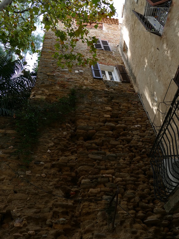 P1150669&.jpg