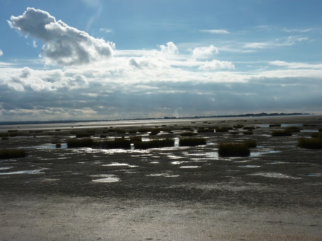 P1130724&.jpg