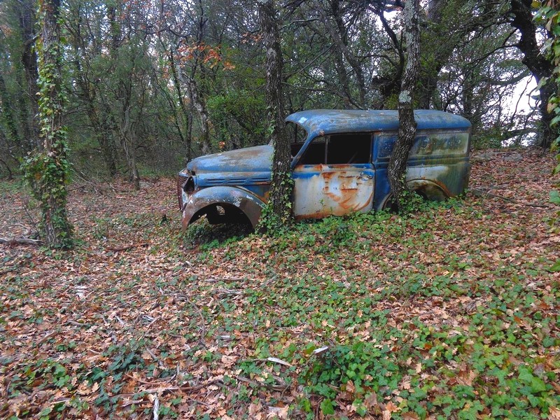 685 .jpg