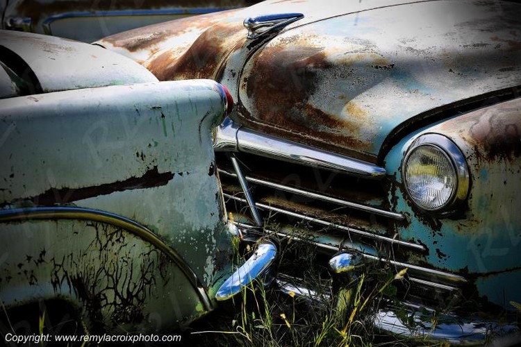 729 .jpg