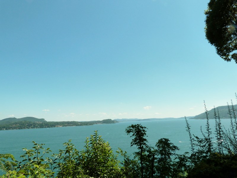 P1060877 (800x600) (2).jpg