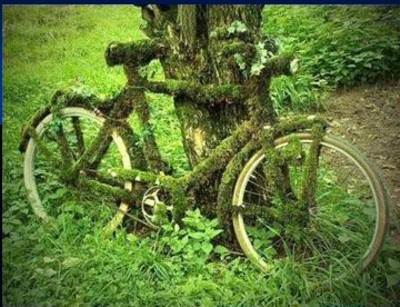 Vélo_mousse..JPG