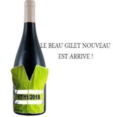 Beau gilet nouveau.jpg