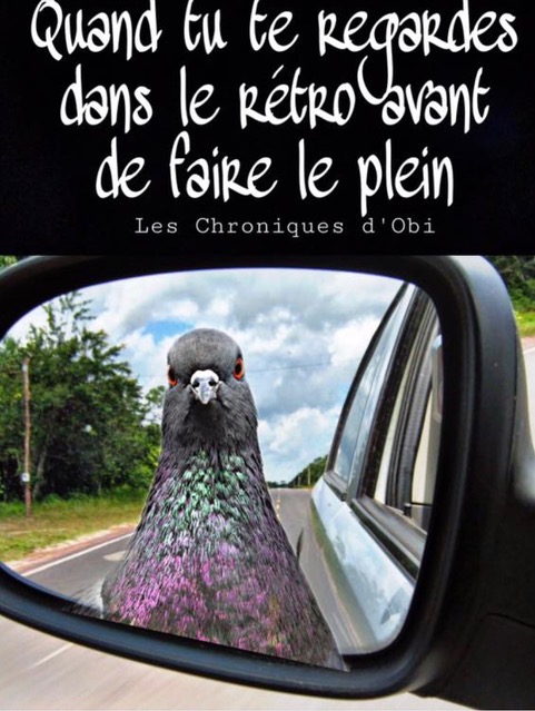 Le plein.jpg