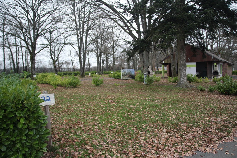 IMG_6858.JPG